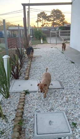 Calle 6 e/ 3 y 7 - Maldonado, Uruguay